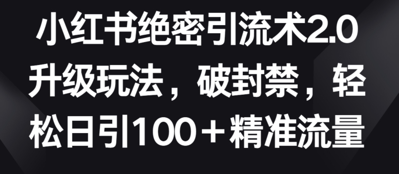 小红书绝密引流术2.0升级玩法，破封禁，轻松日引100+精准流量-南丰网创