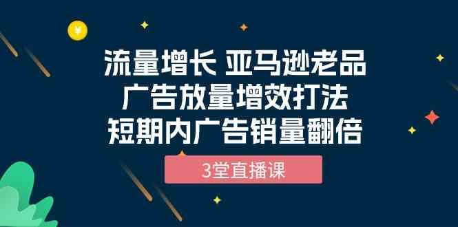 流量增长 亚马逊老品广告放量增效打法，短期内广告销量翻倍（3堂直播课）-南丰网创