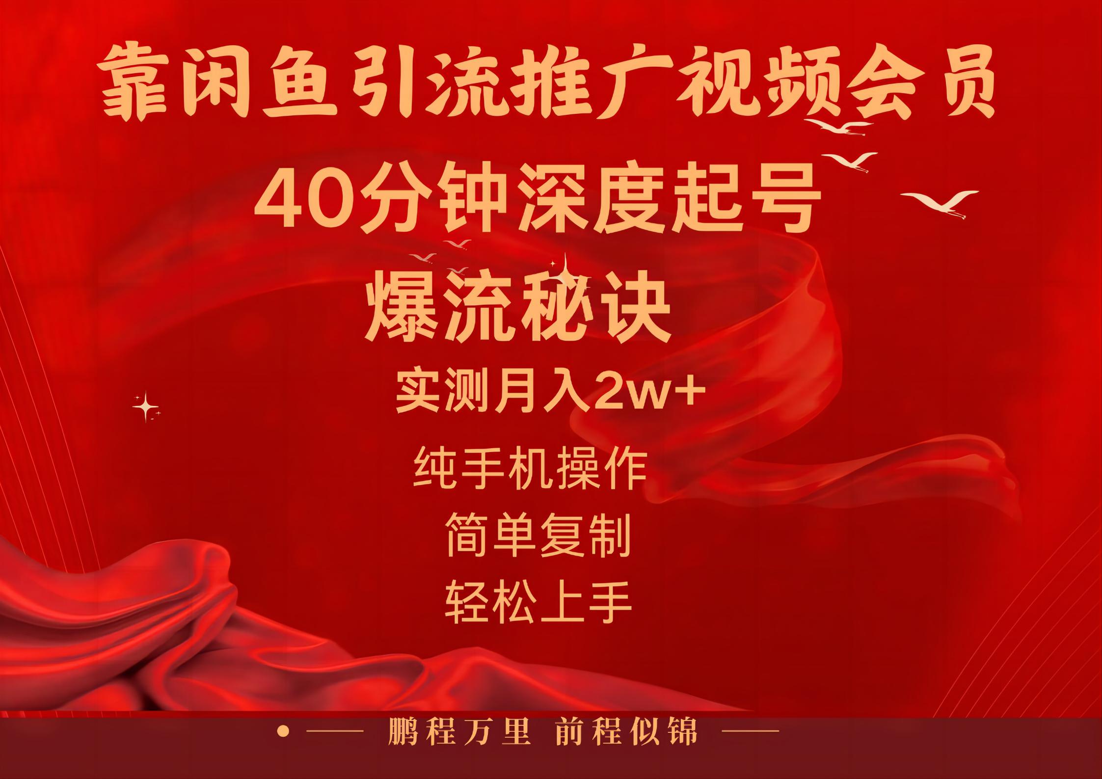 闲鱼暴力引流推广视频会员，能做到日入2W+，操作简单-南丰网创