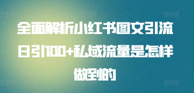 全面解析小红书图文引流日引100+私域流量是怎样做到的-南丰网创