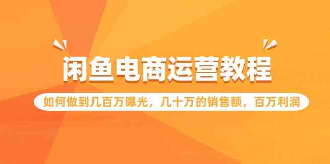 （9560期）闲鱼电商运营教程：如何做到几百万曝光，几十万的销售额，百万利润.-南丰网创