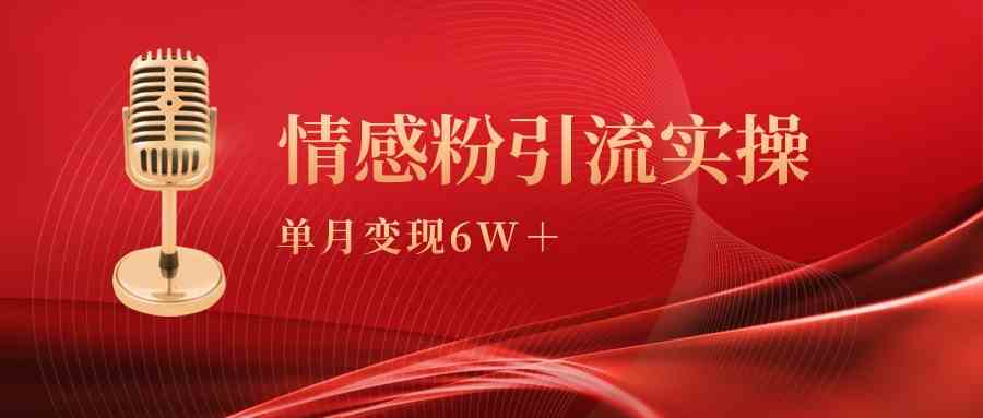 （9473期）单月变现6w+，情感粉引流变现实操课-南丰网创