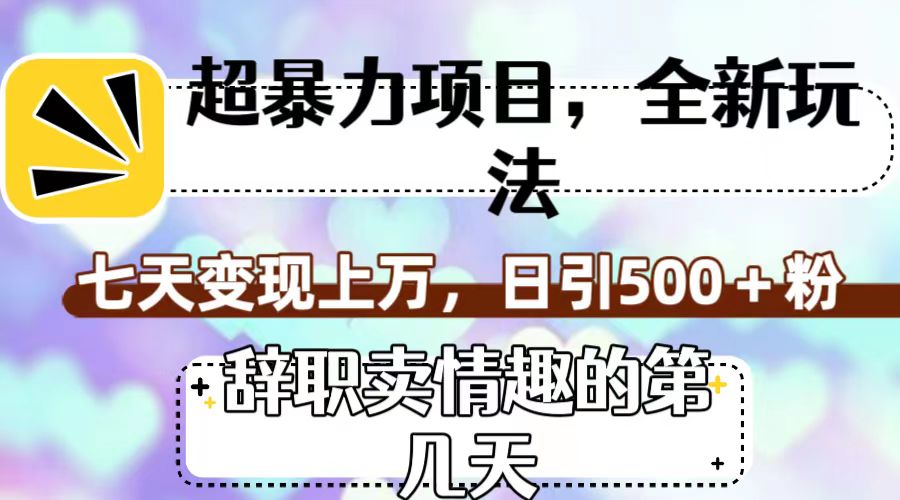 超暴利项目，全新玩法（辞职卖情趣的第几天），七天变现上万，日引500+粉-南丰网创