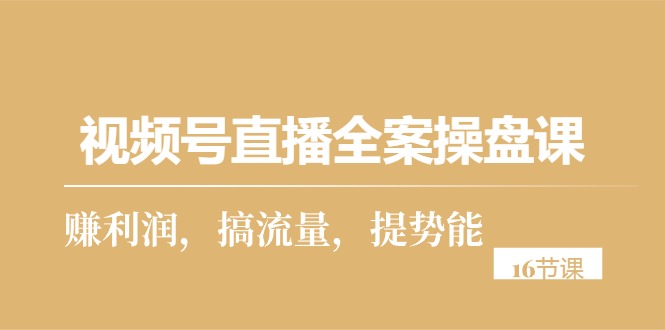 （10207期）视频号直播全案操盘课，赚利润，搞流量，提势能（16节课）-南丰网创