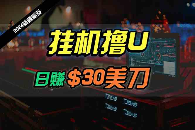 （10013期）日赚30美刀，2024最新海外挂机撸U内部项目，全程无人值守，可批量放大-南丰网创