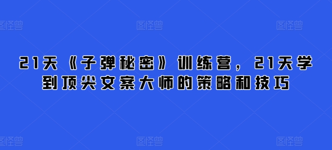 21天《子弹秘密》训练营，21天学到顶尖文案大师的策略和技巧-南丰网创