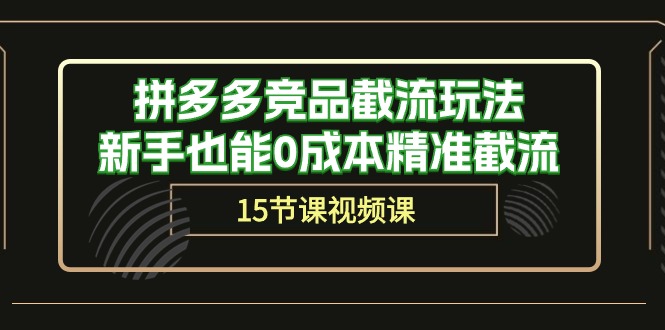 （10301期）拼多多竞品截流玩法，新手也能0成本精准截流（15节课）-南丰网创