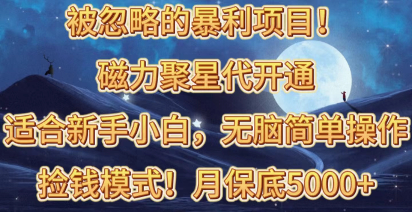 （10245期）被忽略的暴利项目！磁力聚星代开通捡钱模式，轻松月入五六千-南丰网创