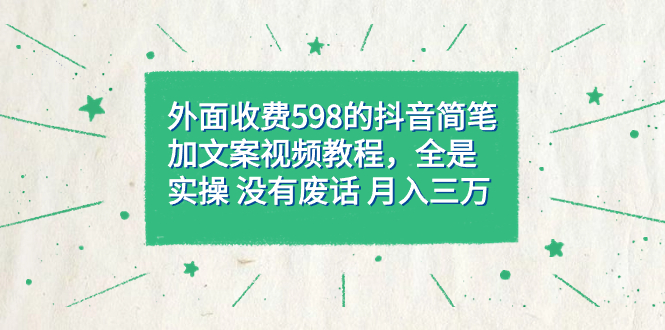 外面收费598抖音简笔加文案教程，全是实操 没有废话 月入三万（教程+资料）-南丰网创