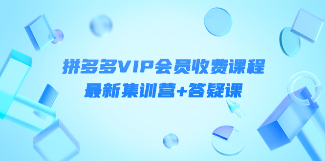 某社群·拼多多VIP会员收费课程，最新集训营+答疑课-价值3299元￼-南丰网创