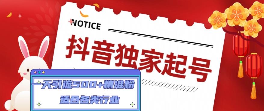 抖音独家起号，一天引流500+精准粉，适合各类行业（9节视频课）-南丰网创