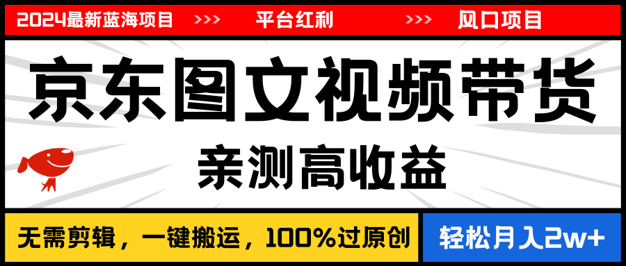 2024最新蓝海项目，逛逛京东图文视频带货，无需剪辑，月入20000+-南丰网创