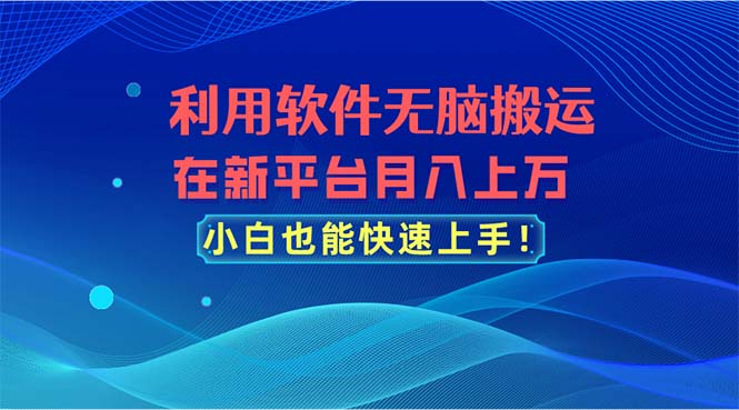 利用软件无脑搬运，在新平台月入上万，小白也能快速上手-南丰网创