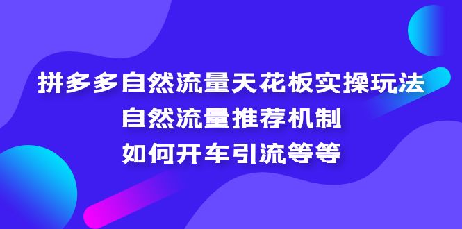 拼多多自然流量天花板实操玩法：自然流量推荐机制，如何开车引流等等-南丰网创