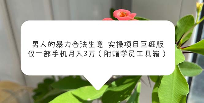 男人的暴力合法生意实操项目巨细版：仅一部手机月入3w（附赠学员工具箱）-南丰网创